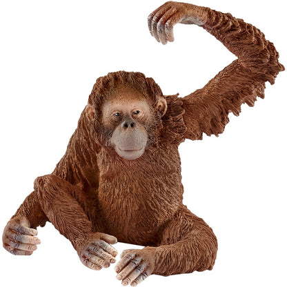 Wild Life - Orang-Utan Weibchen 14775